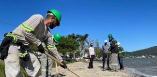 Lagoa da Conceição: Casan inicia recuperação da lagoa de evapoinfiltração - operário usa uma enxada na limpeza da orla da lagoa observado por engenheiros da companhia