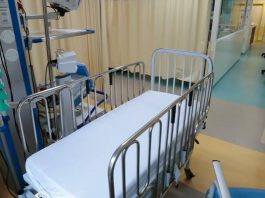 uti do hospital infantil jonana de gusmão - novo complexo hospitalar em florianópolis previsto para 2022