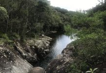 Cachoeira do Jarrão – Palhoça/SC.