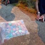 PRF encontra drogas ilícitas em dois flagrantes na Grande Florianópolis