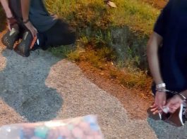 PRF encontra drogas ilícitas em dois flagrantes na Grande Florianópolis