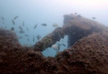 Limpeza dos Mares recupera criadouro natural de peixes na Ilha das Galés