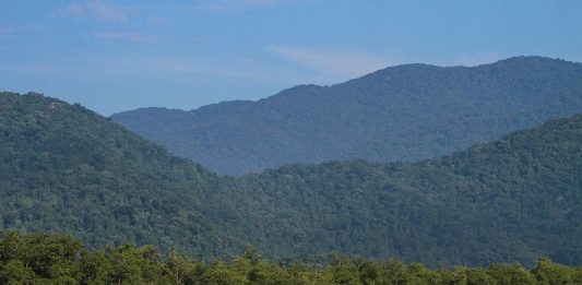 Floresta em pé, solução para o Brasil em um novo perfil jurídico morros cobertos por florestas da mata atlântica próximos a mangue na beira do mar