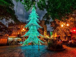 Desfile de Natal em Florianópolis com comprovante de vacinação