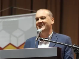 O gigantismo dos micro e pequenos para a recuperação econômica Edilson Wilvert