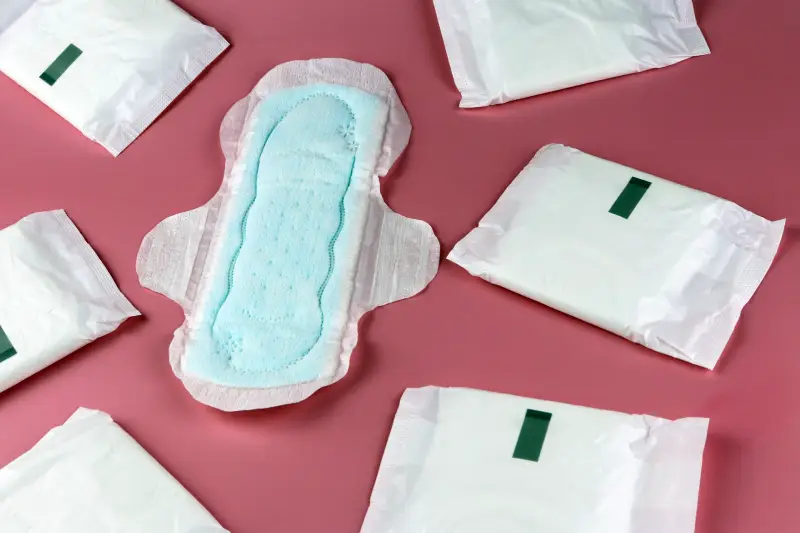projeto pretende distribuir absorventes para higiene íntima das alunas em SC