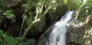 três homens em cachoeira - Municípios da Grande Florianópolis terão plano integrado de turismo