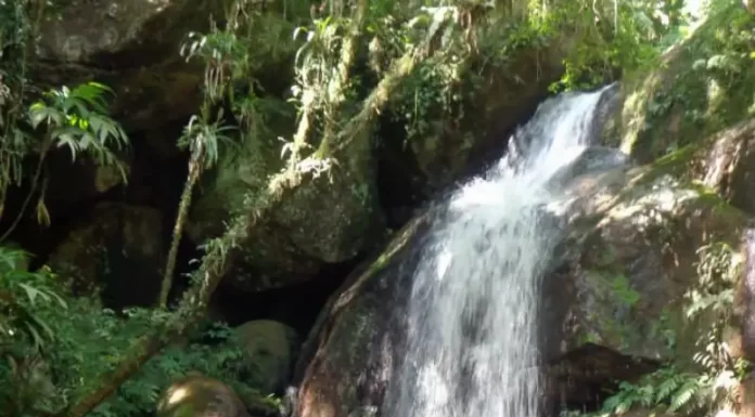 Municípios da Grande Florianópolis terão plano integrado de turismo três homens em cachoeira - Municípios da Grande Florianópolis terão plano integrado de turismo