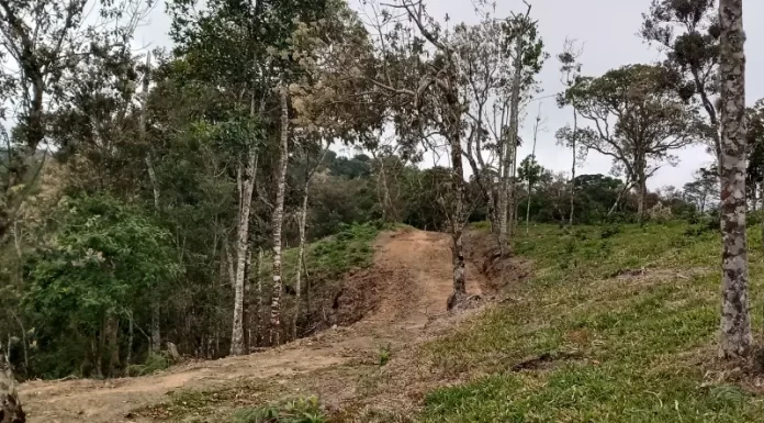 Pequenas propriedades rurais de SC não precisam fazer recuperação ambiental