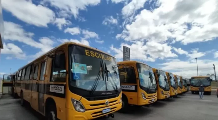 ônibus escolares estacionados alinhados