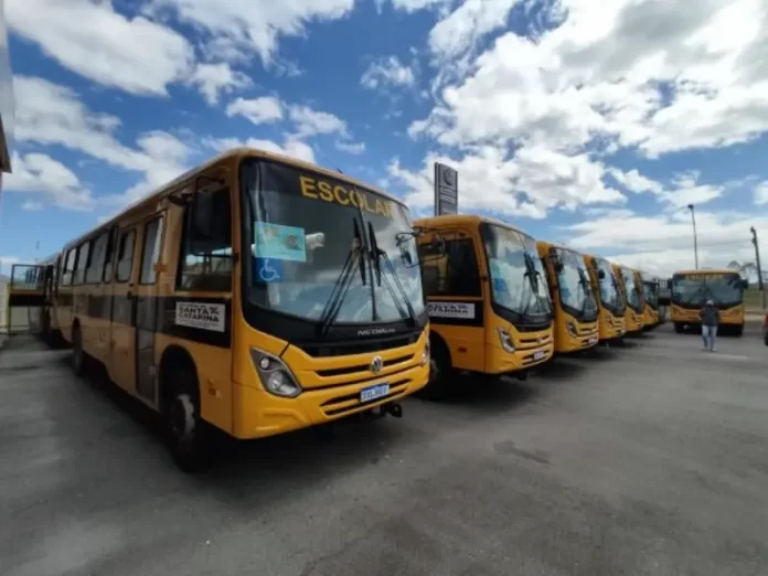 ônibus escolares estacionados alinhados