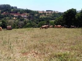 Governador convoca grupo de monitoramento com ações imediatas contra a estiagem