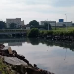 Trato pelo Araújo: Casan inicia trabalho de despoluição do rio entre São José e Florianópolis