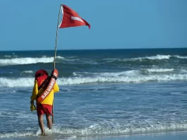 salva vidas coloca bandeira vermelha na praia do campeche em florianópolis