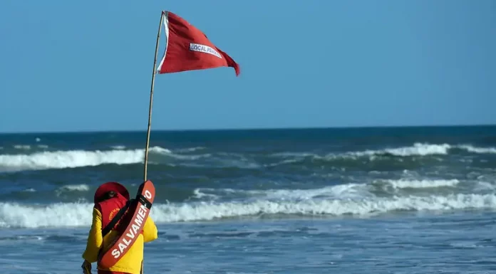 salva vidas coloca bandeira vermelha na praia do campeche em florianópolis