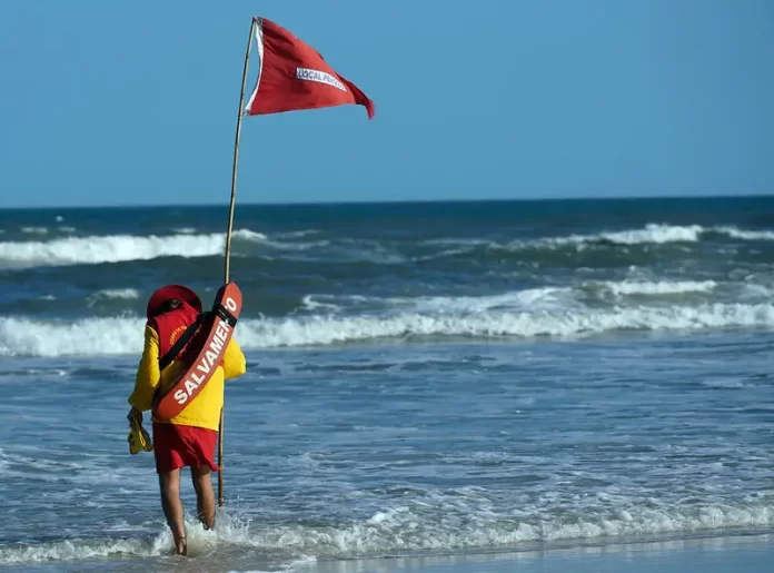 salva vidas coloca bandeira vermelha na praia do campeche em florianópolis