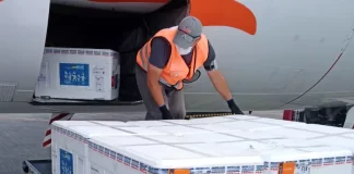 caixas de isopor com o lote de vacinas da janssen sobre carrinho de aeroporto ao lado de compartimento de avião aberto e funcionário manejando as caixas