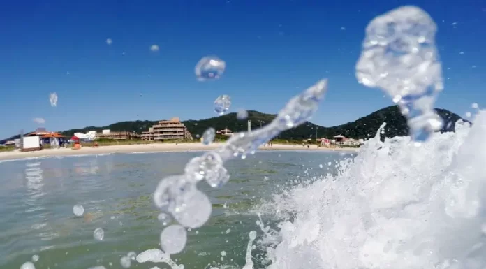 relatório de qualidade da água do mar balneabilidade em sc