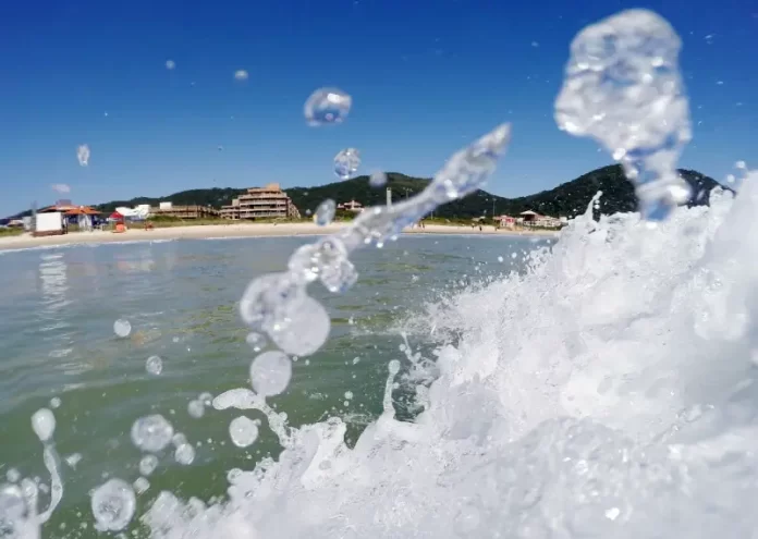 relatório de qualidade da água do mar balneabilidade em sc