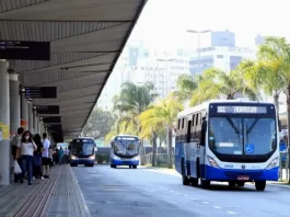 Transporte Público em Florianópolis - Ônibus no terminal