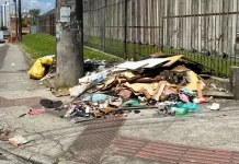 Como denunciar descarte irregular de lixo em São José ou solicitar coleta