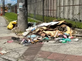 Como denunciar descarte irregular de lixo em São José ou solicitar coleta