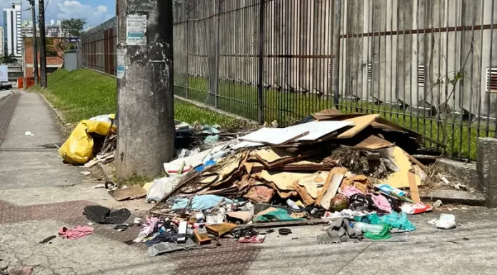 Como denunciar descarte irregular de lixo em São José ou solicitar coleta