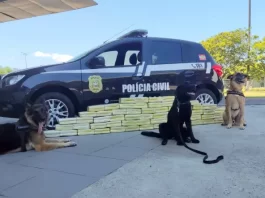 Cães da Polícia Civil encontram 90 quilos de maconha na rodoviária Rita Maria Cães da Polícia Civil encontram 90 quilos de maconha na rodoviária Rita Maria