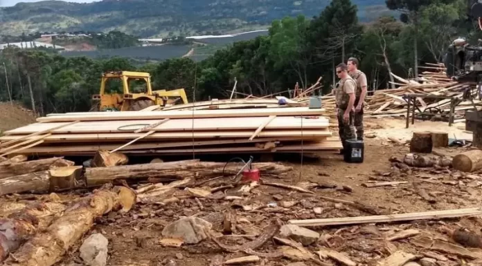 Corte de 150 araucárias mostra como novo código ambiental vai desproteger ambiente