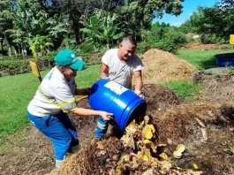 Florianópolis vai pagar por iniciativas de compostagem em larga escala O município pagará pelo tratamento de resíduo orgânico alimentar realizado nos bairros da cidade