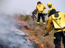 Incêndios florestais aumentam 527% em SC entre janeiro de 21 e 22