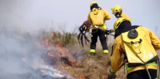 Incêndios florestais aumentam 527% em SC entre janeiro de 21 e 22