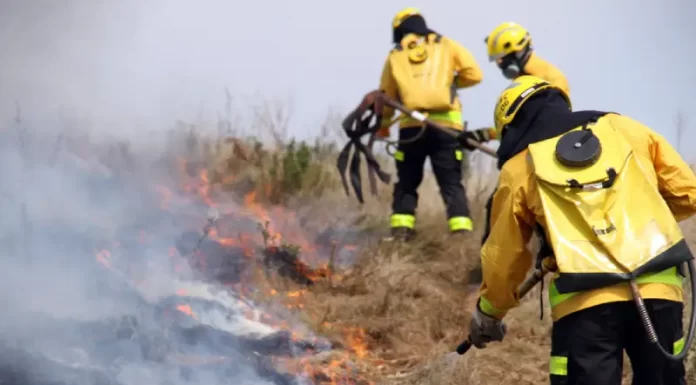 Incêndios florestais aumentam 527% em SC entre janeiro de 21 e 22