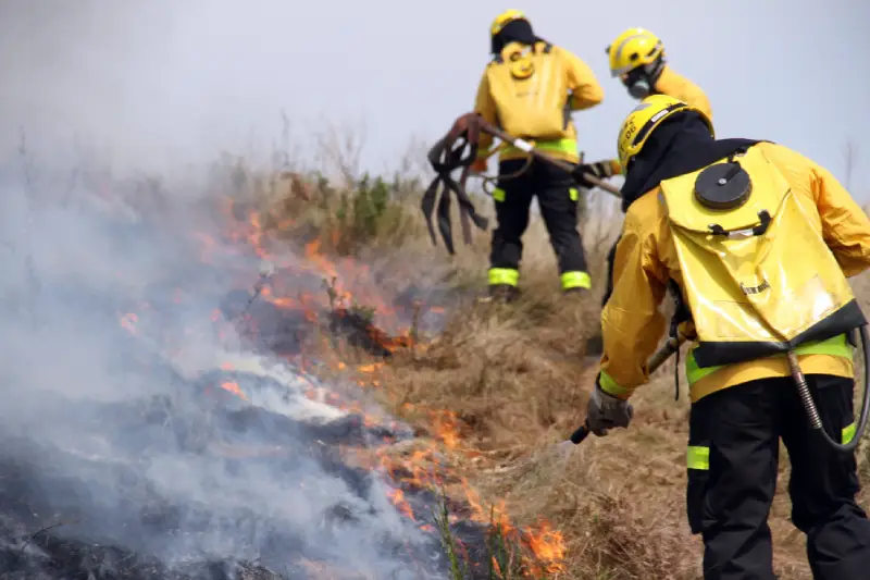 Incêndios florestais aumentam 527% em SC entre janeiro de 21 e 22