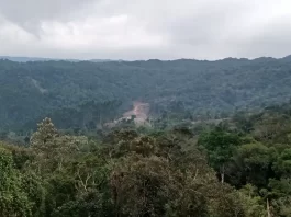 Moisés sanciona sem vetos novo código ambiental de SC natureza catarinense será reduzida com novo código ambiental