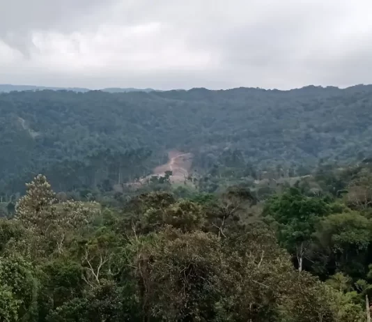 natureza catarinense será reduzida com novo código ambiental