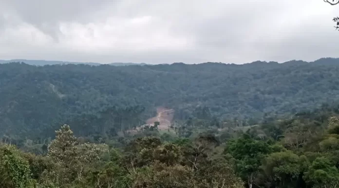 natureza catarinense será reduzida com novo código ambiental