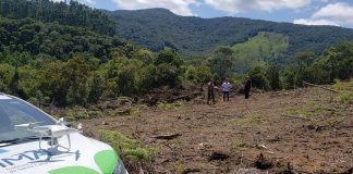 Governo estadual inicia identificação de desmatamento ilegal por satélite