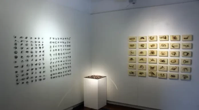 Artistas da Grande Florianópolis expõem na Fundação Cultural BADESC