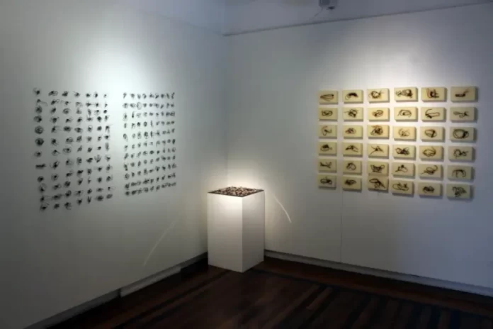 Artistas da Grande Florianópolis expõem na Fundação Cultural BADESC