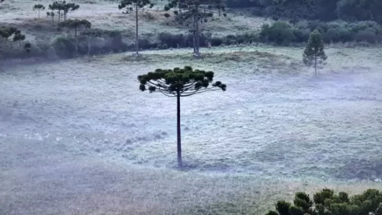 neve em São Joaquim