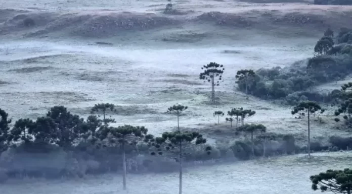 São Joaquim tem a décima geada registrada no verão