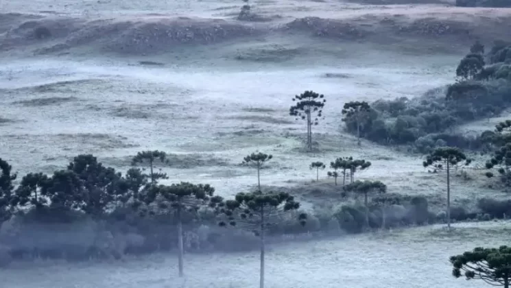 São Joaquim tem a décima geada registrada no verão