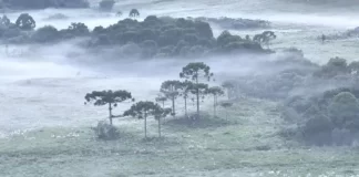 Frio em Santa Catarina - alerta de chuva e temperaturas baixas