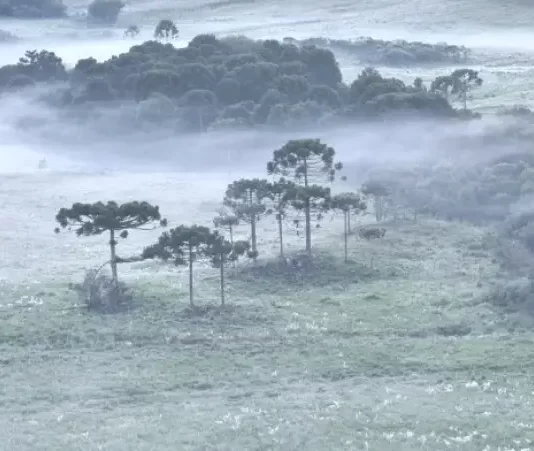 Frio em Santa Catarina - alerta de chuva e temperaturas baixas