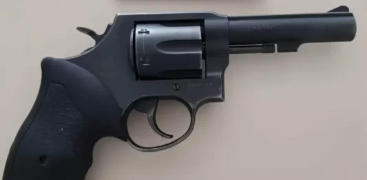 Polícia Civil prende homem por descumprimento de medidas protetivas e apreende arma em São José