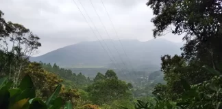 terra indígena morro dos cavalos