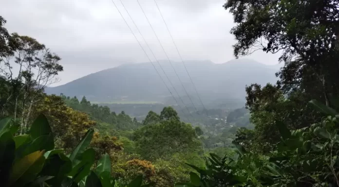 terra indígena morro dos cavalos