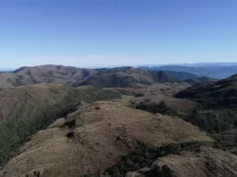 IMA inicia nova rodada de indenizações no Parque do Tabuleiro
