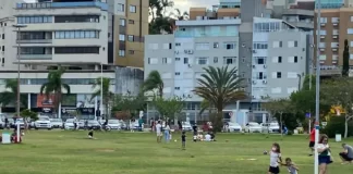 área de gramado do parque de coqueiros